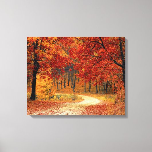 herfst van bosgebied rond doek canvas afdruk (Voorkant)