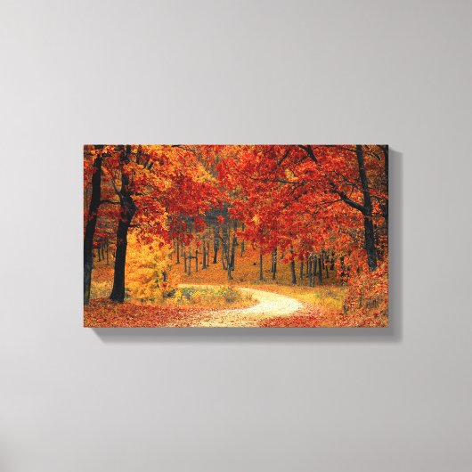 herfst van bosgebied rond doek canvas afdruk (Voorkant)