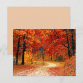 herfst van bossen briefkaart (Voorkant / Achterkant)