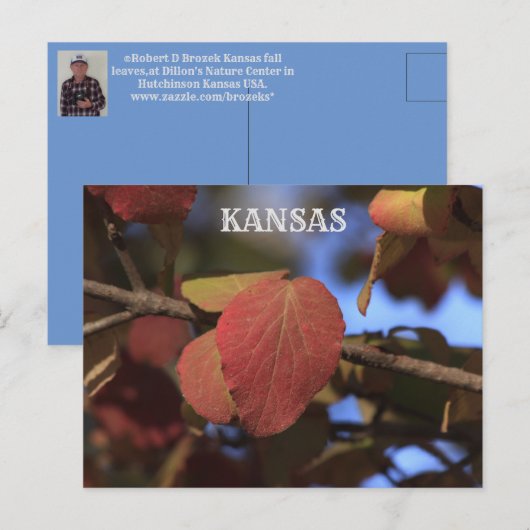 Herfst van Kansas Briefkaart (Voorkant / Achterkant)