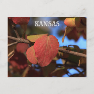 Herfst van Kansas Briefkaart