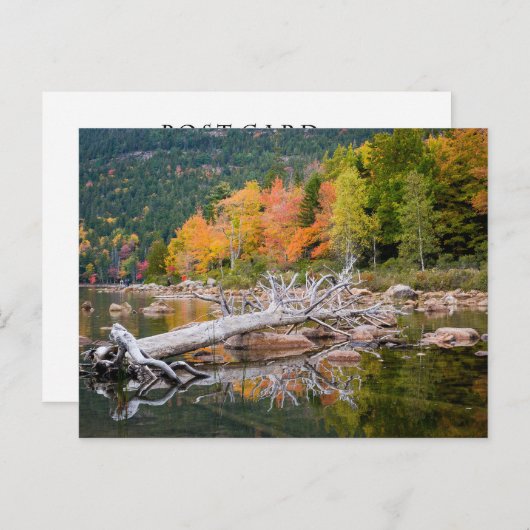 Herfst van Maine Briefkaart (Voorkant / Achterkant)