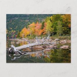 Herfst van Maine Briefkaart