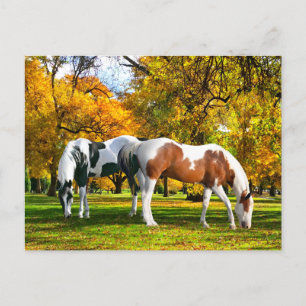 "Herfst vanmiddag"  Briefkaart