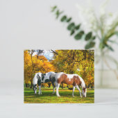 "Herfst vanmiddag" Briefkaart (Staand voorkant)