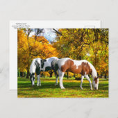 "Herfst vanmiddag" Briefkaart (Voorkant / Achterkant)