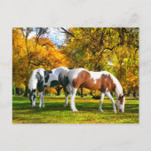 "Herfst vanmiddag"  Briefkaart (Voorkant)