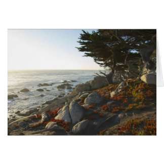 Herfst vanmiddag over de Stille Oceaan