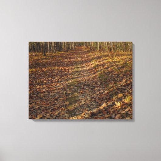 Herfst verlaat kunst aan de muur canvas afdruk (Voorkant)