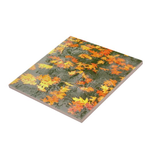 Herfst verlaat tegel tegeltje (Zijkant)