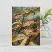 Herfst verlaat Thanksgiving Kaart (Staand voorkant)