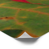 Herfst Verlaat voor Herfst Poster (Hoek)