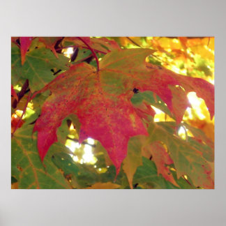 Herfst Verlaat voor Herfst Poster