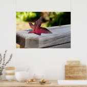 Herfst Verlof Poster (Keuken)