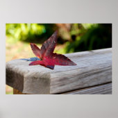 Herfst Verlof Poster (Voorkant)