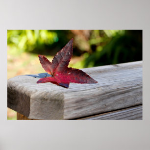 Herfst Verlof Poster