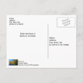 Herfst verwijst naar Buffalo National River Briefk Briefkaart (Achterkant)