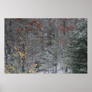 Herfst vóór de winter poster