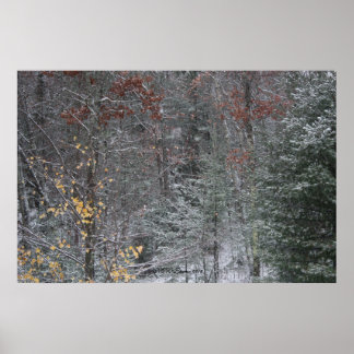 Herfst vóór de winter poster