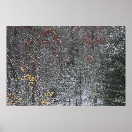Herfst vóór de winter poster (Voorkant)