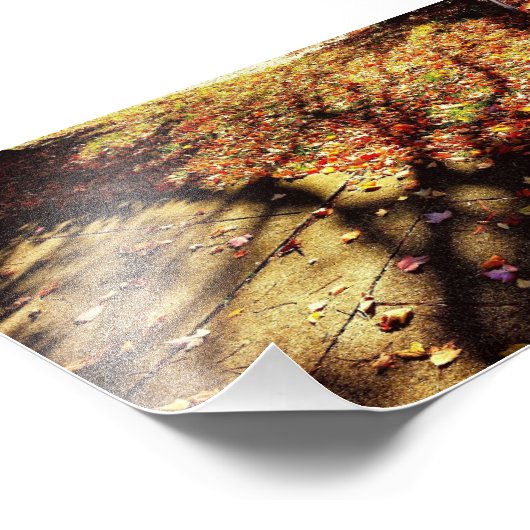 Herfst Walk Foto Afdruk (Hoek)