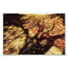 Herfst Walk Foto Afdruk