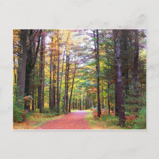 herfst walkway.jpg briefkaart
