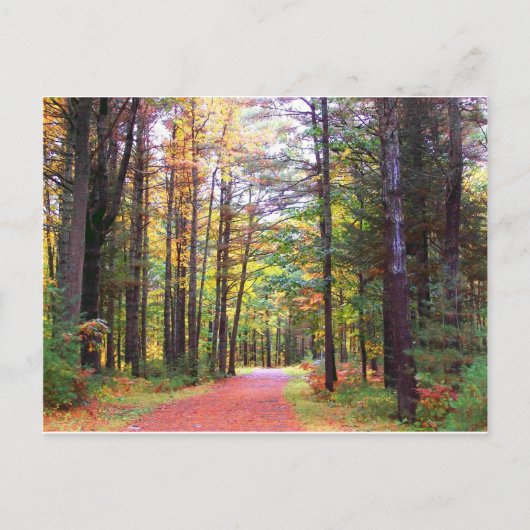 herfst walkway.jpg briefkaart (Voorkant)