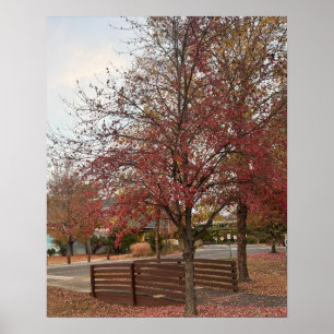 Herfst Wandelbrug Poster