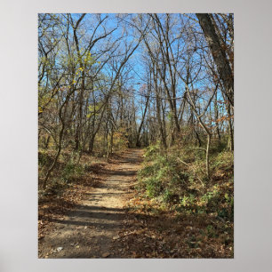 Herfst Wandelpad Poster
