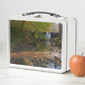 Herfst Waterfall en Creek Pennsylvania Natuur (In situ)