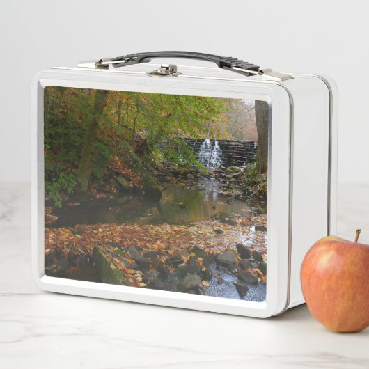 Herfst Waterfall en Creek Pennsylvania Natuur (In situ)