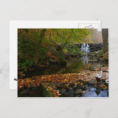 Herfst Waterfall en Creek Pennsylvania Natuur Briefkaart (Voorkant / Achterkant)