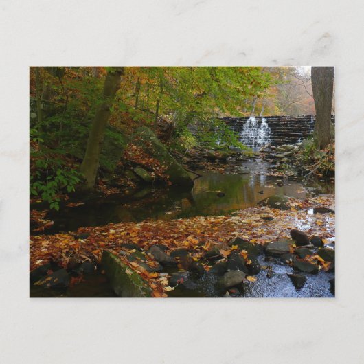 Herfst Waterfall en Creek Pennsylvania Natuur Briefkaart (Voorkant)