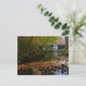 Herfst Waterfall en Creek Pennsylvania Natuur Briefkaart (Staand voorkant)