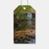 Herfst Waterfall en Creek Pennsylvania Natuur Cadeaulabel (Voorkant)