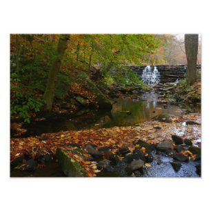 Herfst Waterfall en Creek Pennsylvania Natuur Foto Afdruk