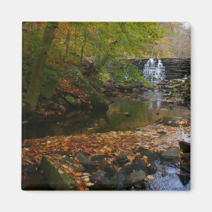 Herfst Waterfall en Creek Pennsylvania Natuur Foto Magneet