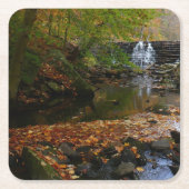 Herfst Waterfall en Creek Pennsylvania Natuur Kartonnen Onderzetters (Voorkant)