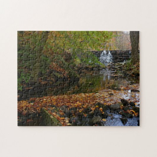 Herfst Waterfall en Creek Pennsylvania Natuur Legpuzzel (Horizontaal)