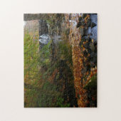 Herfst Waterfall en Creek Pennsylvania Natuur Legpuzzel (Verticaal)
