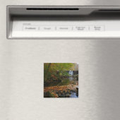Herfst Waterfall en Creek Pennsylvania Natuur Magneet (Insitu (Vaatwasser))