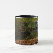 Herfst Waterfall en Creek Pennsylvania Natuur Mok (Midden)