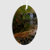 Herfst Waterfall en Creek Pennsylvania Natuur Ornament (voorkant)