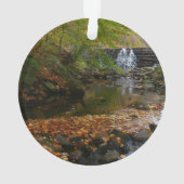 Herfst Waterfall en Creek Pennsylvania Natuur Ornament (achterkant)