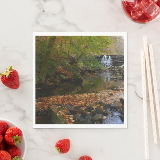 Herfst Waterfall en Creek Pennsylvania Natuur Servetten (Insitu)