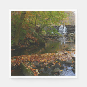 Herfst Waterfall en Creek Pennsylvania Natuur Servetten