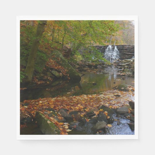 Herfst Waterfall en Creek Pennsylvania Natuur Servetten (Voorkant)