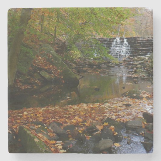 Herfst Waterfall en Creek Pennsylvania Natuur Stenen Onderzetter (Voorkant)
