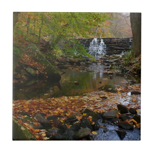 Herfst Waterfall en Creek Pennsylvania Natuur Tegeltje (Voorkant)